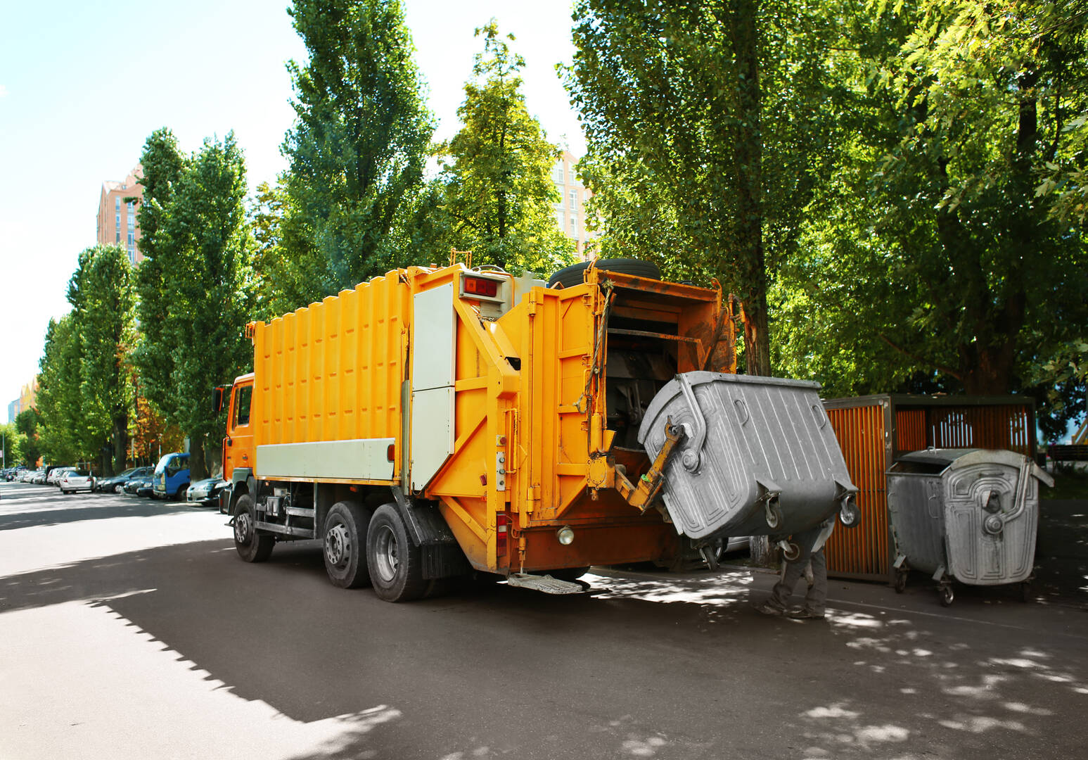 Dog Poop Cleanup Service Aurora CO